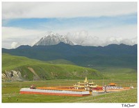 tibet (42)
