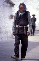 tibet (63)
