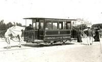 tram (21)