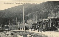 tram (50)