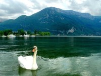Annecy (15)