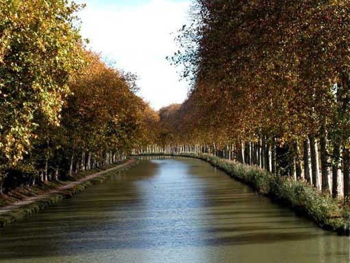 canal (53)