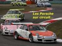 Porsche_Sport (11)
