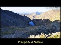 pyrenees (37)