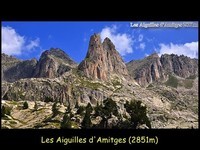 pyrenees (45)