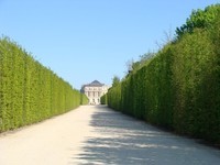 Versailles (31)