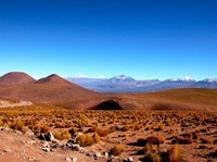 Atacama (22)