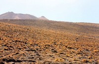 Atacama (39)