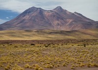 Atacama (32)