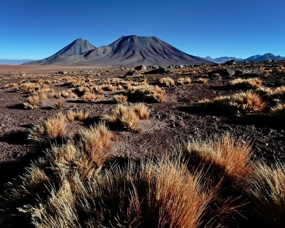 Atacama (47)