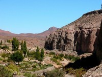 Atacama (36)