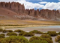 Atacama (34)
