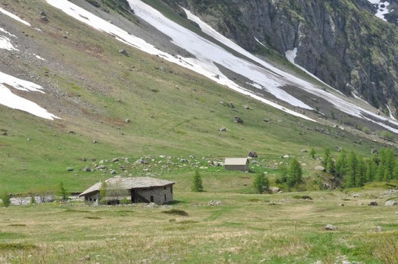 Hautes-Alpes (60)