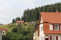 Mitteltal (19)