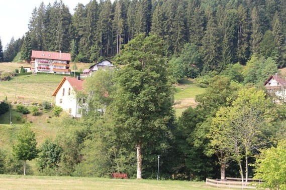 Mitteltal (21)
