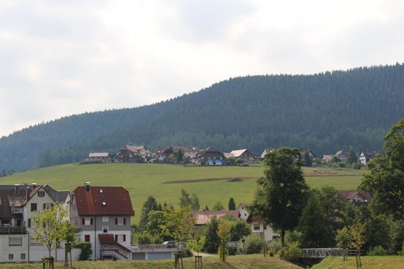 Mitteltal (67)