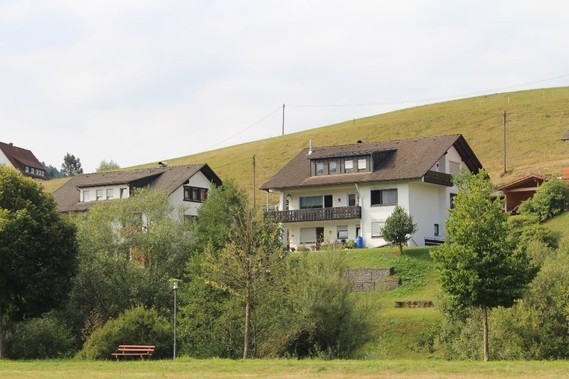 Mitteltal (63)