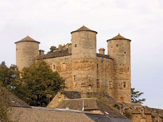 Aveyron (223)