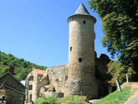 Aveyron (217)