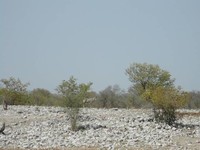 Namibie (14)