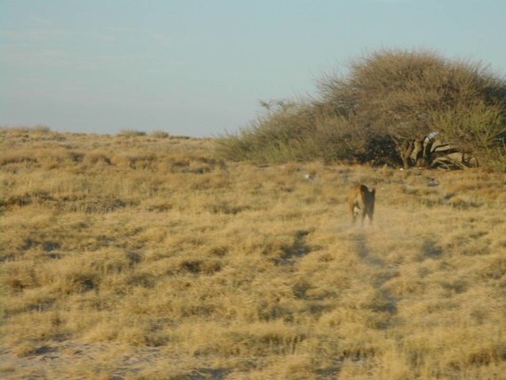 Namibie1 (15)