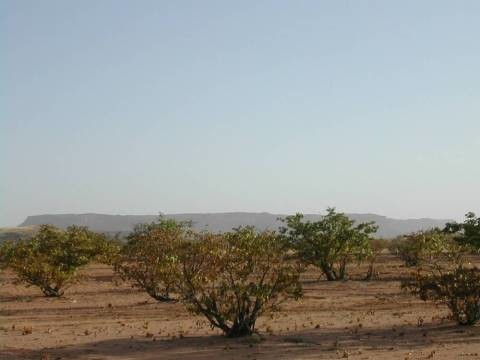 Namibie1 (26)
