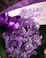 Violettes (29)