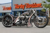 Harley (11)