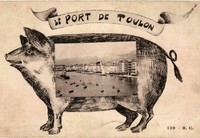 Toulon (80)
