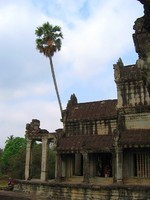 Angkor2 (53)
