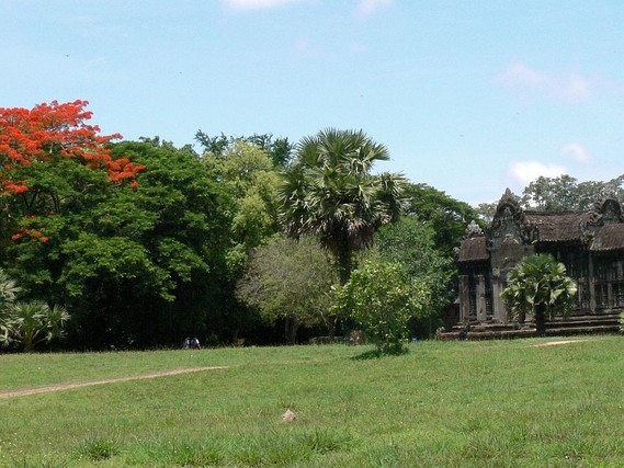 Angkor (30)