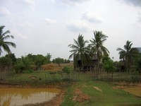Angkor9 (33)