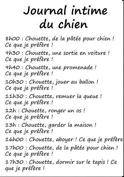 Télécharger gratuitement Images La Vie D Un Chien Journal Intime Humour Noyan Animaux actualisé salutations