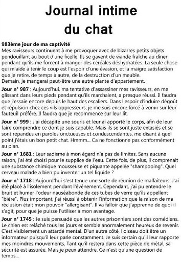 Journal-intime-chat
