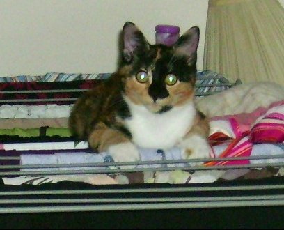 Ma Minette Se Roule Par Terre Quand Je La Gronde
