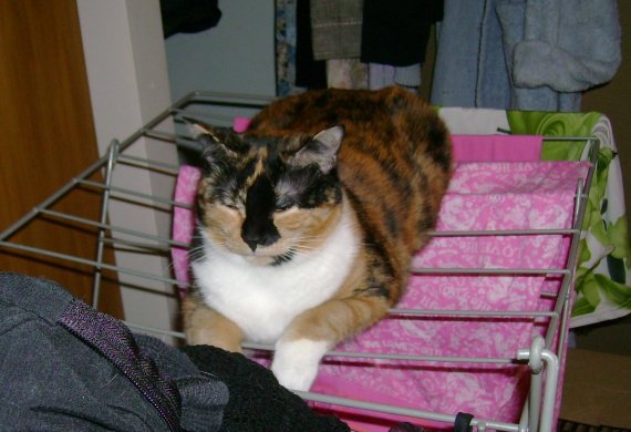 Ma Minette Se Roule Par Terre Quand Je La Gronde