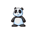 panda coeur