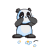 panda pleure