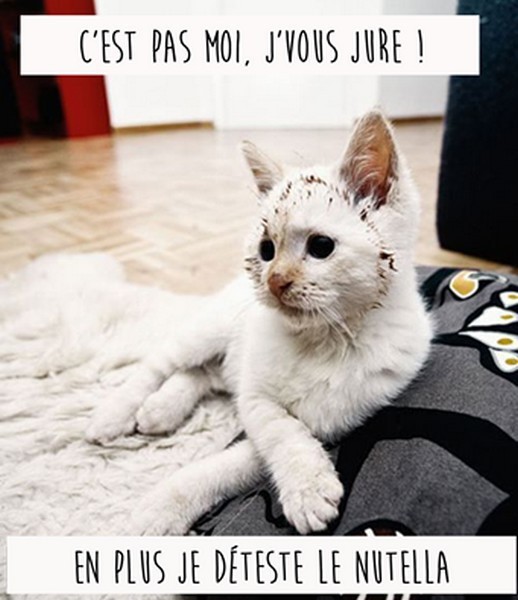 Téléchargement gratuit Images D064b478 Humour Rire Un Coin De Paradis Doctissimo le plus cool par