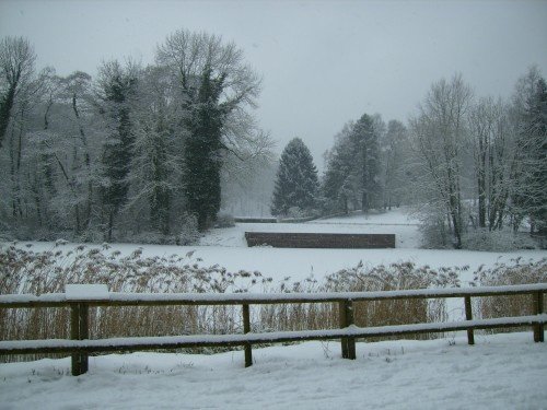 forêt de soignes hiver 2009