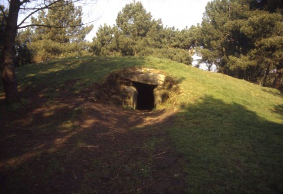 France-Carnac tumulus de Bono13