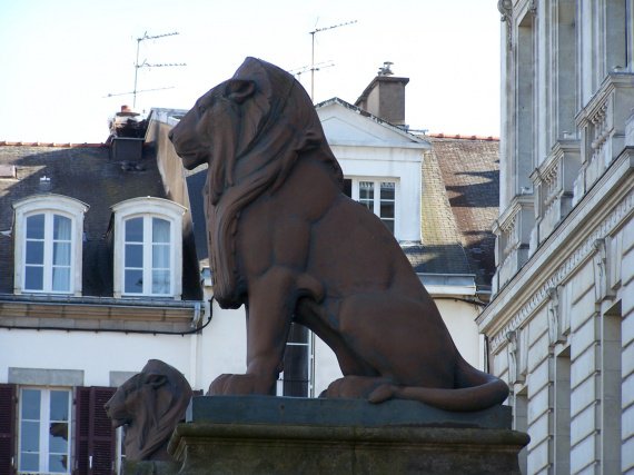 France-Vannes-lions 18
