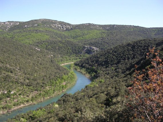 Département de l'Hérault4