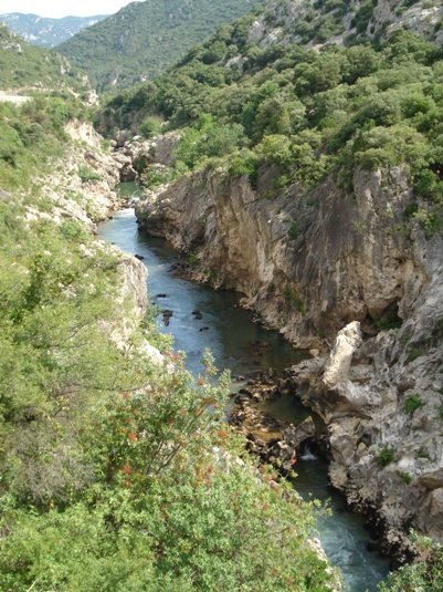 Département de l'Hérault - gorge de l'herault5