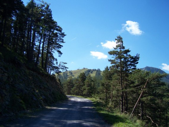 France - Alpes maritimes - pic de la colmiane