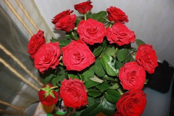 bouquet9 de roses rouges pour la st valentin