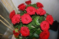bouquet9 de roses rouges pour la st valentin