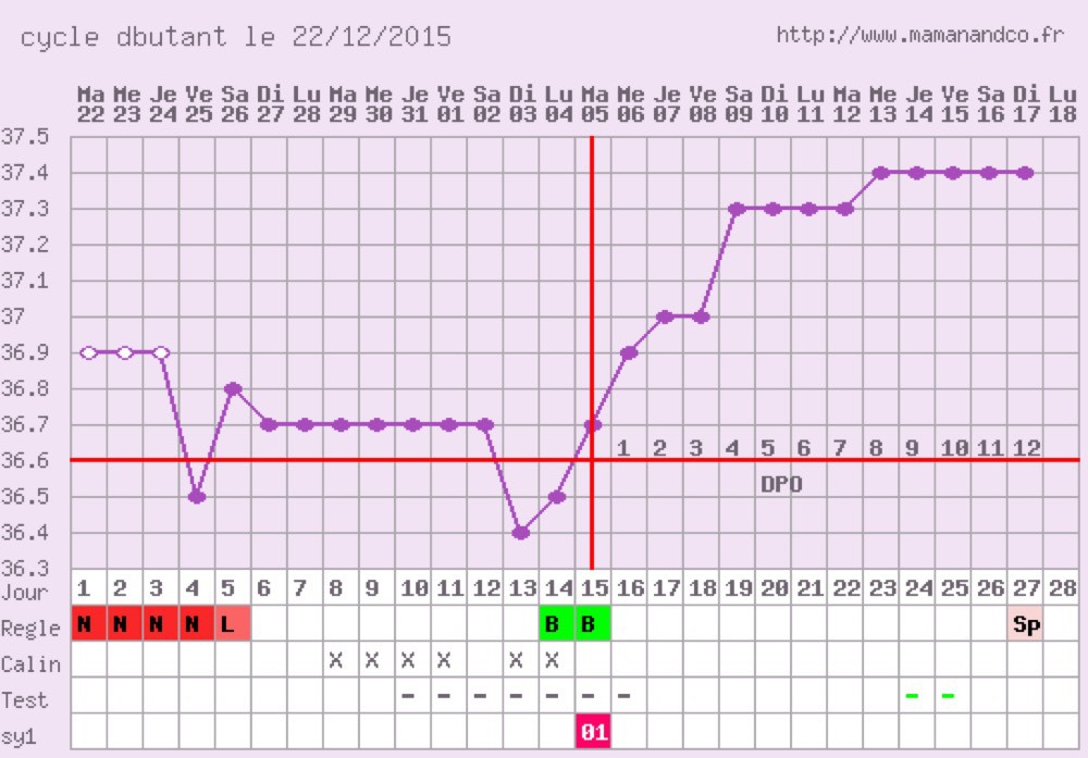 courbe de température - Ovulation - FORUM Grossesse & bébé