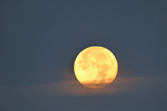 (C)Ivano Ghirardini- pleine lune du Lion-Aout 2020-PSL-Port Saint Louis du Rhône- 13230-Camargue-Sud