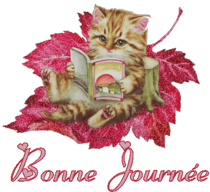 Bonne Journee Chat Avec Livre Pele Mele Sam250 Photos Club Doctissimo Bonne Journee Chat Avec Livre Pele Mele Sam250 Photos Club Doctissimo